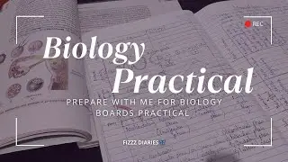 Night Before Practical: Diagrams, Record Files & Stress | Prepare With Me #cbse12thboards 