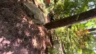 RED WING PARK TOUR PART 1