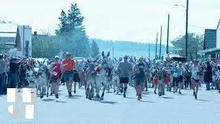 Burro Racing in Colorado is the Craziest Tradition We've Ever Seen | Best Products