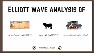 Updated Elliott Wave Analysis of price movement on TNX (10-yr Treasury Yield), GVX (Livestock Index)
