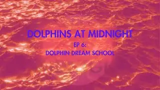 Ep 6: Dolphin Dream Schooly