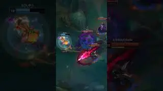 The support experience