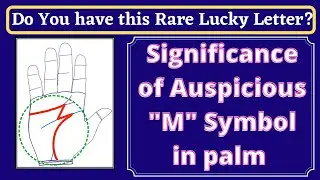 Significance Rare Lucky Sign M in Your Palm Palmistry | Sudden wealth Lines | Sai Suvajit Astrologer