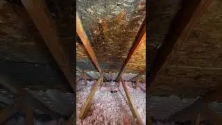 Contractor-Grade formula destroying mold in seconds 👀⁠⁠ #rmr #rmrsolutions #mold #moldremoval