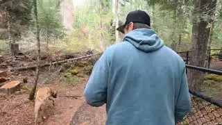 Natural Bridge Prospect Oregon Must see