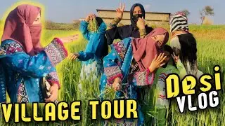 Aj hum ny chunna saag (ساگ) pothwari vlog || village vlog ||