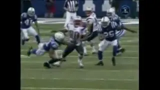 Bob Sanders - Best Safety Ever!