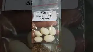 సాయిలీల స్టోర్ నుండీ మేము కొన్న విత్తనాలు.#saileela store #seeds@yamini mini home