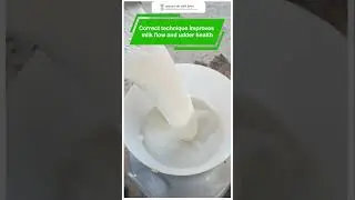 Correct Milking Techniques!