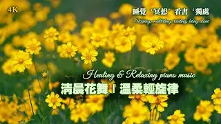 4K【100%无广告】🌹 花香日光 &middot; 柔和心靈音樂 Floral Sunlight &middot; Soft Piano for Peace #好聽的鋼琴音樂 #relax #flowers #music