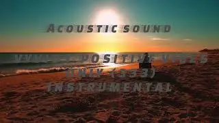Vyvid I- Positive Vibes Only Instrumental (Acoustic)