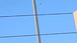 Royal Jet B737 flyover