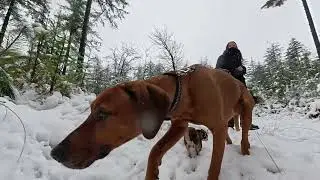 Eerste sneeuw in 2026