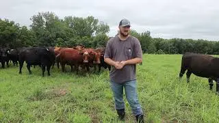 Feeding the People: Inside the Iowa Tribe of KS & NE Beef Cattle Operation