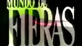 Mundo de Fieras - Dejame Llorar Rucardo Montaner