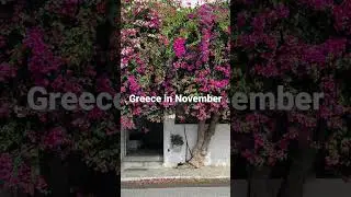 #Greece in winter? #Athens was lively, 65% of everything closed in #Santorini & prob 80% in #Paros