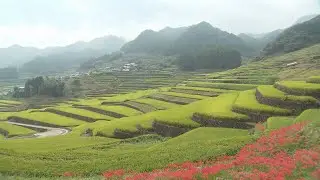 窯業集落と棚田「波佐見中尾皿山と鬼木棚田」国の重要文化的景観へ答申