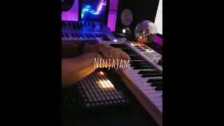 Небольшой ламповый джем с котом (chillwave, chillsynth, synthwave)