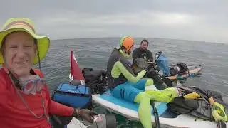 Florida SUP diving, spear fishing success