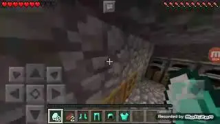 Matando bichos com meu primo (Mateus)