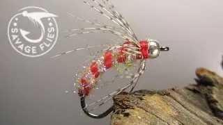Can you name this mutli-purpose Diamond Brite nymph?