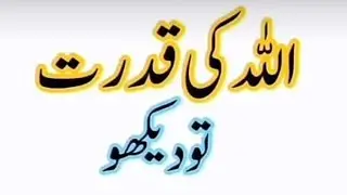 Hafiz Shakeel barvi  is live!