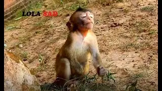 Poor Lola Sit Alone Sad Lost Mom - Mother Leyla leave lola Again