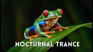 Mike Huckebein - Nocturnal Canopy | Hypnotic Trance & Acid Techno | 143 BPM | Electronic Music
