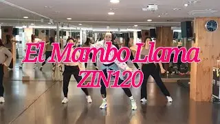 ZIN120. El Mambo Llama /#헤라제이줌바 #zin120 #zumba #mambo 