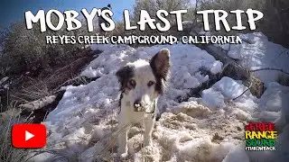 Moby&rsquo;s Last Camping Trip | Reyes Creek Campground, Maricopa, California