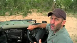 Sabi Sand Wild Safari Live Apr 9 2016 sunset