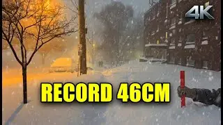 Toronto's RECORD 46cm Snowstorm | Cozy Neighborhood Crunchy Snow Walk (4K No Talking)