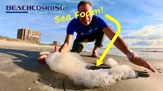 Beachcombing - Sea Foam