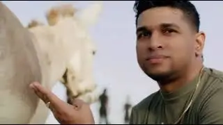 Damian coolBoyz- Look Like Donkey (official video)