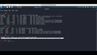Using LSOF command to check the network  access status