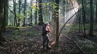 quenacho Checho D... Beskid Średni