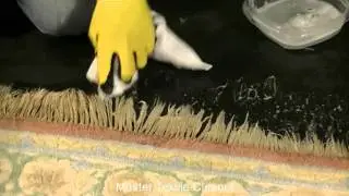 (516) 535-0351 - Manhasset Area Rug Cleaning Manhasset Oriental Rug Cleaning