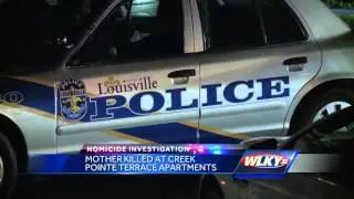 Mother killed in front of son on Mother's Day