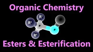 Organic Chemistry - Reactions of Alcohols | Esterification