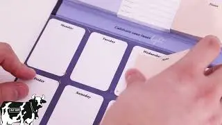 Planner con postits &ndash; Let your light shine bright