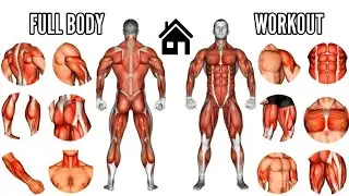 Full Body Home Workout – No Equipment , Just Results!