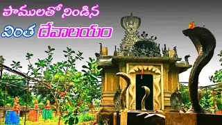 Manasa devi temple || Mh telugu vlogs