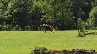 D1/D2/D3 Rating- Land Conservation and Riding in the Open