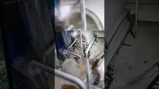 Highly Efficient Sweet Potato Starch Machine 400kg Stainless Steel Screen