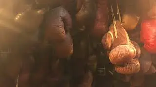 Boxing Gloves
