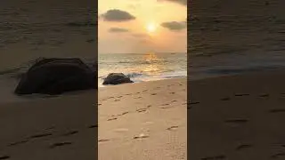 ලස්සන හැන්දැවක් 🌅#sunset #srilanka #foryou #travel #automobile #video