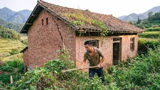 Leaving the City, a Couple Renovated a Dilapidated Hillside House Into Their New Home