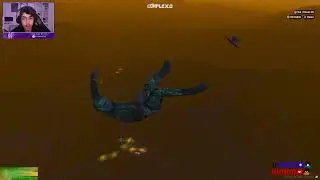 NATAN AMASSANDO O MarcaoRX DE CA&Ccedil;A GTA RP CPX