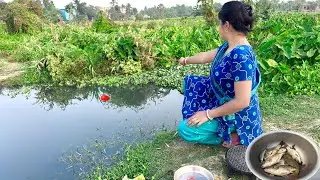 Amazing Hook Fishing Video🎣🎣 || Beautiful Lady fishing in the village canal using hook #fishing