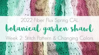 2021 Spring CAL Week 2: Botanical Garden Shawl